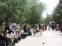 گزارش تصویری از همایش پیاده روی کارکنان در 22 اردیبهشت ماه 